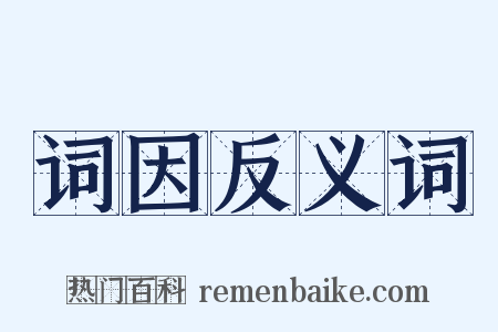 词因反义词是什么意思的图片